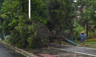 上海地铁停运通知