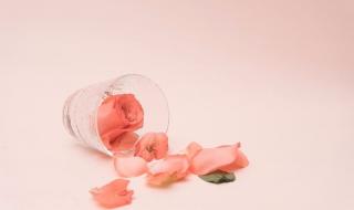 我生命中的每一天歌曲原唱 在我生命里的每一天