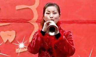 刘小燕民间小调全集 安徽民间小调刘小燕