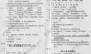 五年级下册暑假答案