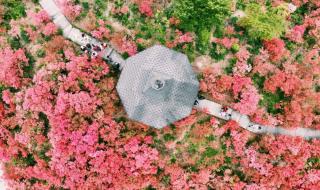 剑来我于人间全无敌 我于人间全无敌