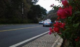 自驾游厦门攻略