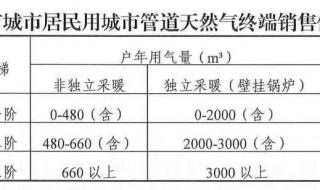 天然气终端销售