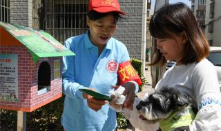 社区可以养狗吗 社区禁止养狗引质疑