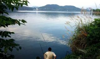 入伏时间是如何确定的 入伏时间是如何确定的