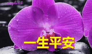 我用一生一世的心