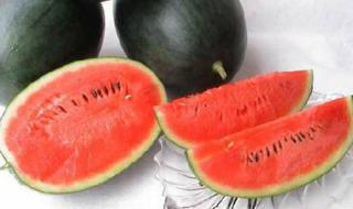 黑美人西瓜种植技术 黑美人西瓜种植技术