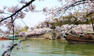 鼋头渚门票送的客渡船有什么用 无锡鼋头渚门票团购