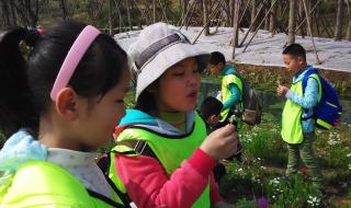 2021年表白对祖国妈妈的爱 表白妈妈最暖心短句