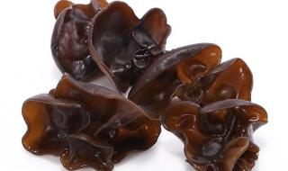 炒木耳怎么判断木耳熟了 木耳的香气行家啊