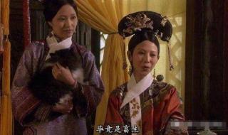 偏偏喜欢你粤语谐音歌词 偏偏喜欢你谐音歌词