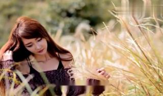 借我一滴眼泪歌曲原唱 我的眼泪为谁飞歌词