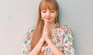 lisa上了ins富豪榜