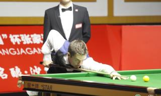 2013世界斯诺克决赛 2013世界斯诺克决赛