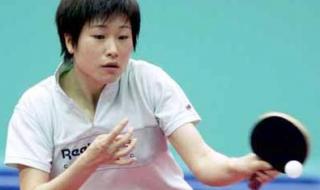 乒乓球个人奥奥运规则 国乒奥运选拔规则